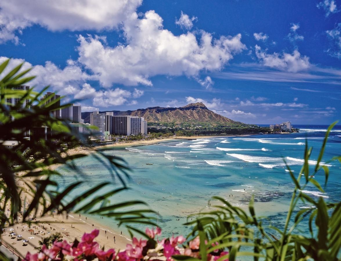 Newly Renovated 2 Bedroom Condo, 1 Block To Waikiki Beach, Free Parking Honolulu Buitenkant foto